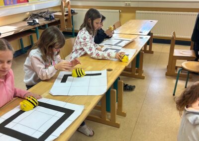 BeeBot goes VS