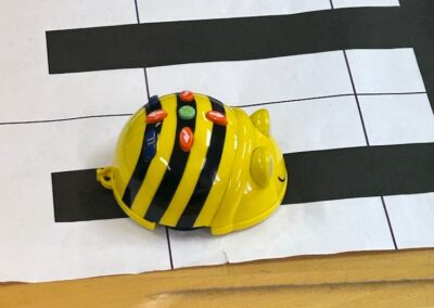 BeeBot goes VS