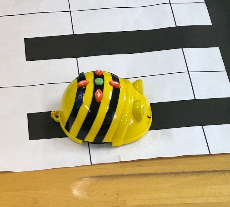 BeeBot goes VS