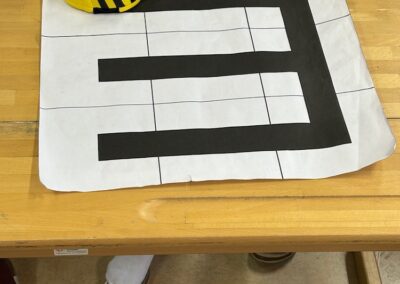 BeeBot goes VS