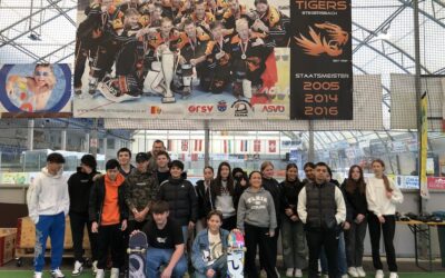 Fit4 Life – Skaten bei den Tigers in Stegersbach