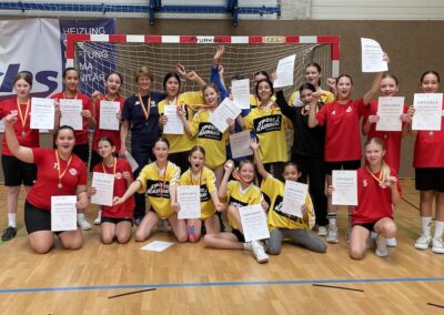 Handball Landesmeisterschaft