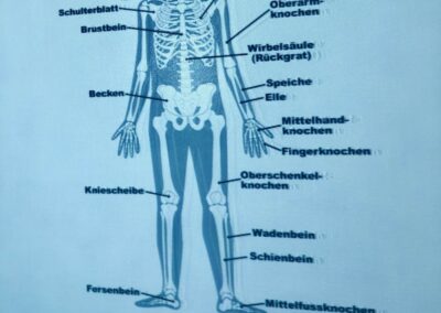 Physiotherapie an der EMS