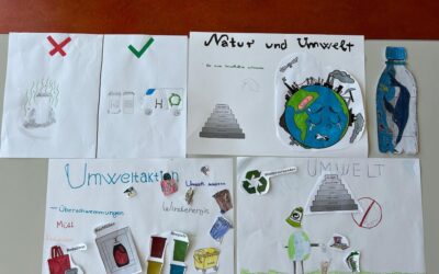 Wortschatz lernen und üben rum um das Thema Umwelt in der DFKL