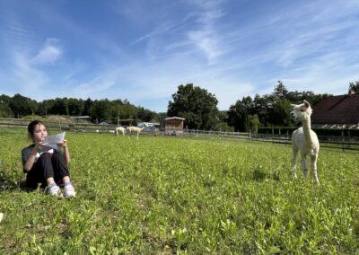 Alpaka Wanderung mit der 1E