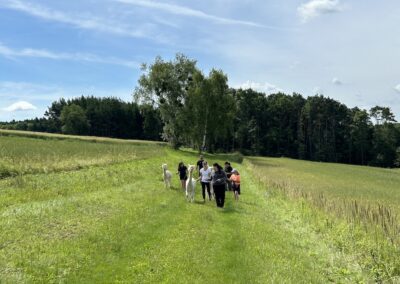Alpaka Wanderung mit der 1E