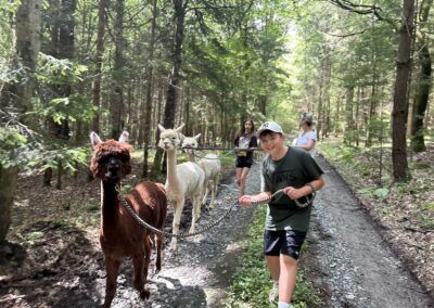 Alpaka Wanderung mit der 1E