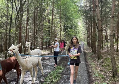 Alpaka Wanderung mit der 1E