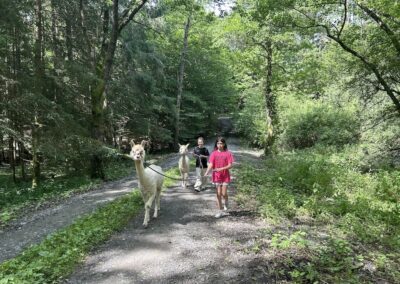 Alpaka Wanderung mit der 1E