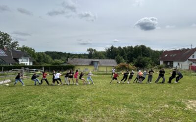Alpaka Wanderung mit der 1E