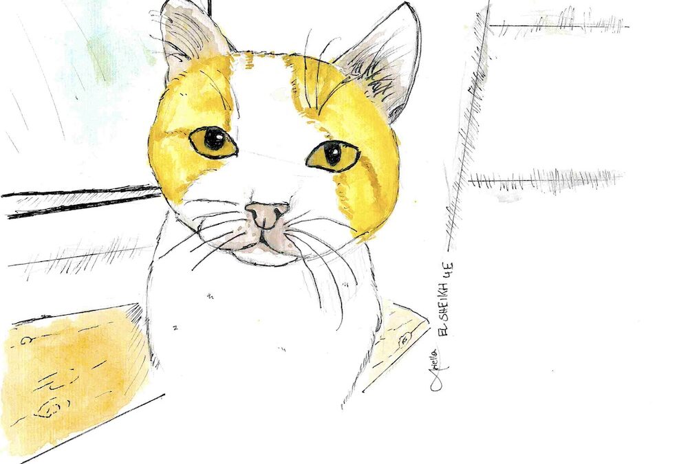 Die EMS unterstützt das Katzenhaus