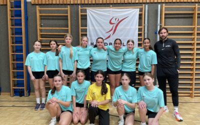 Handball Landesmeisterschaften 🤾‍♀️ 🤾🏼‍♂️