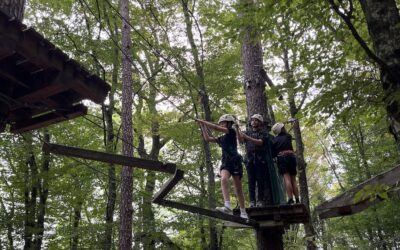 Teambuildung im Hochseilgarten