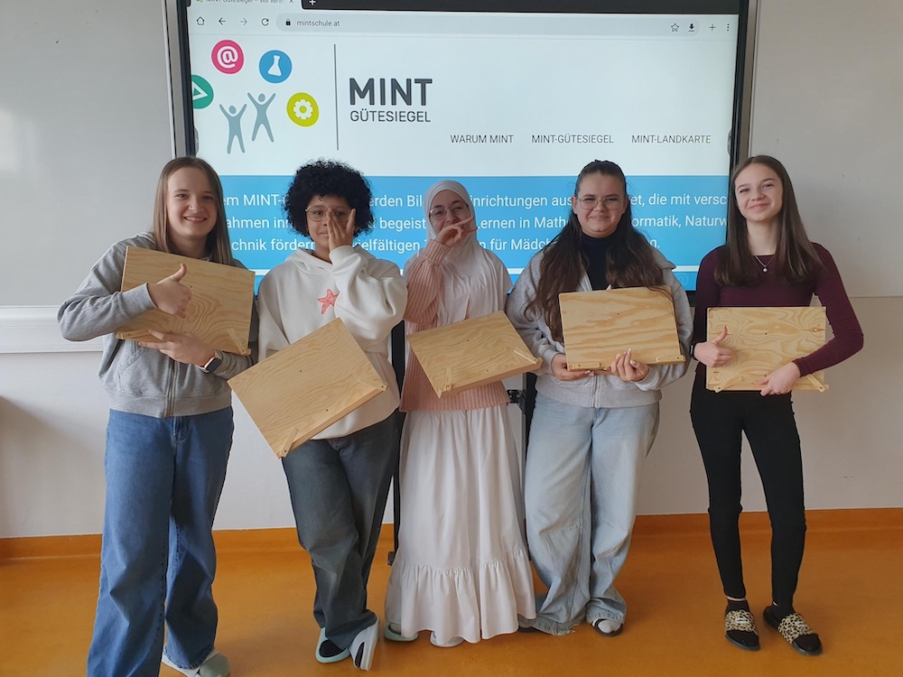 MINT - Buch-/Tablett-/Laptop-Stütze für den Unterricht/für zu Hause