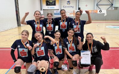 Landesfinale Schülerliga Volleyball 🏐 – VIZELANDESMEISTERTITEL erreicht