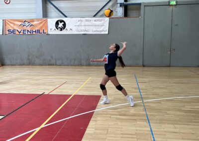 Landesfinale Schülerliga Volleyball 🏐 - VIZELANDESMEISTERTITEL erreicht