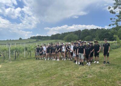 3 Weinberge-Rundweg (Eisenberg - Csaterberg - Deutsch-Schützen Weinberg) 🍇☀️🥾