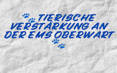 🐾 Tierische Verstärkung an der EMS Oberwart 🐾