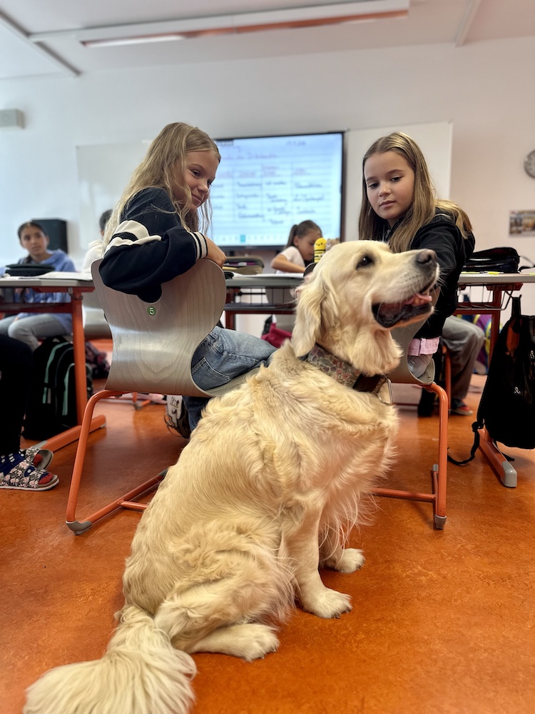 Schulhund 🐾 Tierische Verstärkung an der EMS Oberwart 🐾